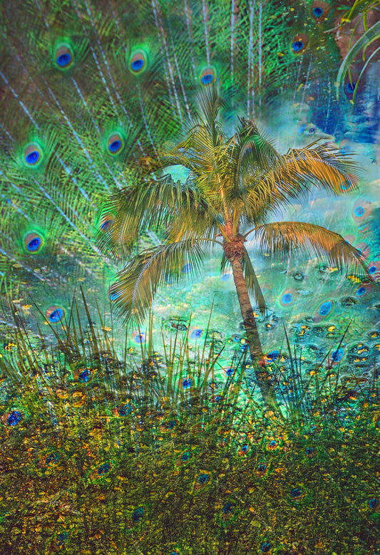 PEACOCKS AND PALMS